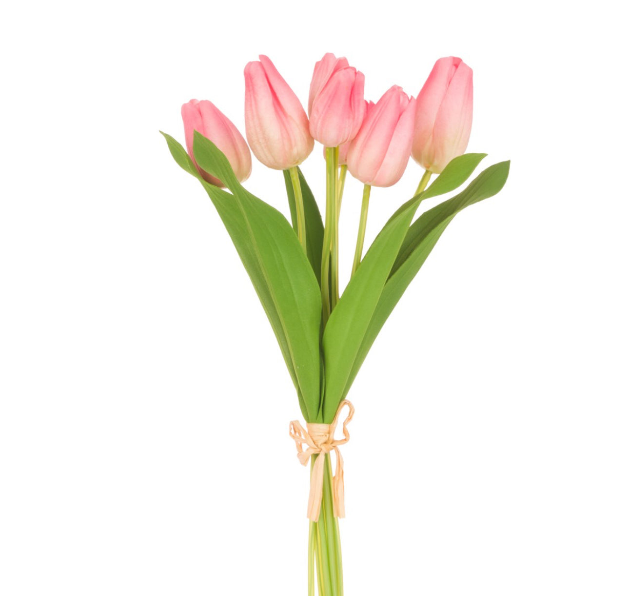 Tulip real feel flowers