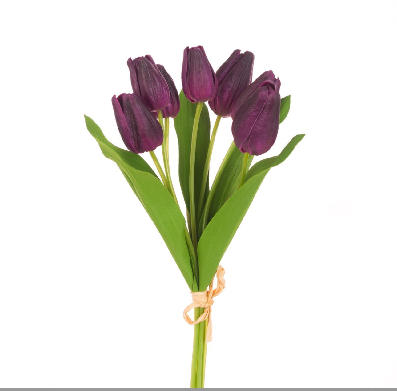 Tulip real feel flowers